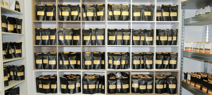 Copy-of-Copy-of-Copy-of-Copy-of-atelier-6P